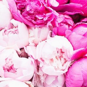 Meet your Posher, Mayra